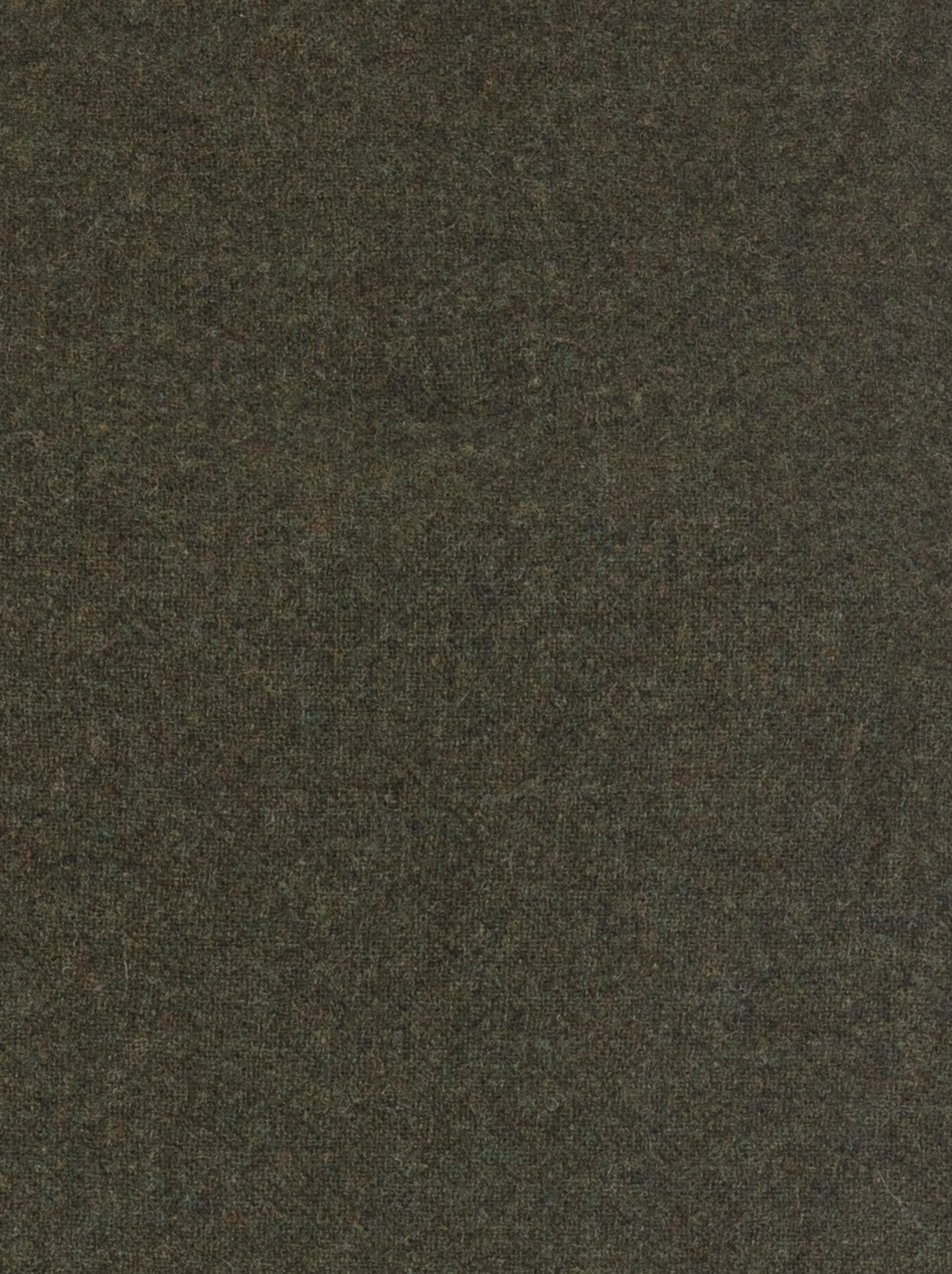 Image 595165