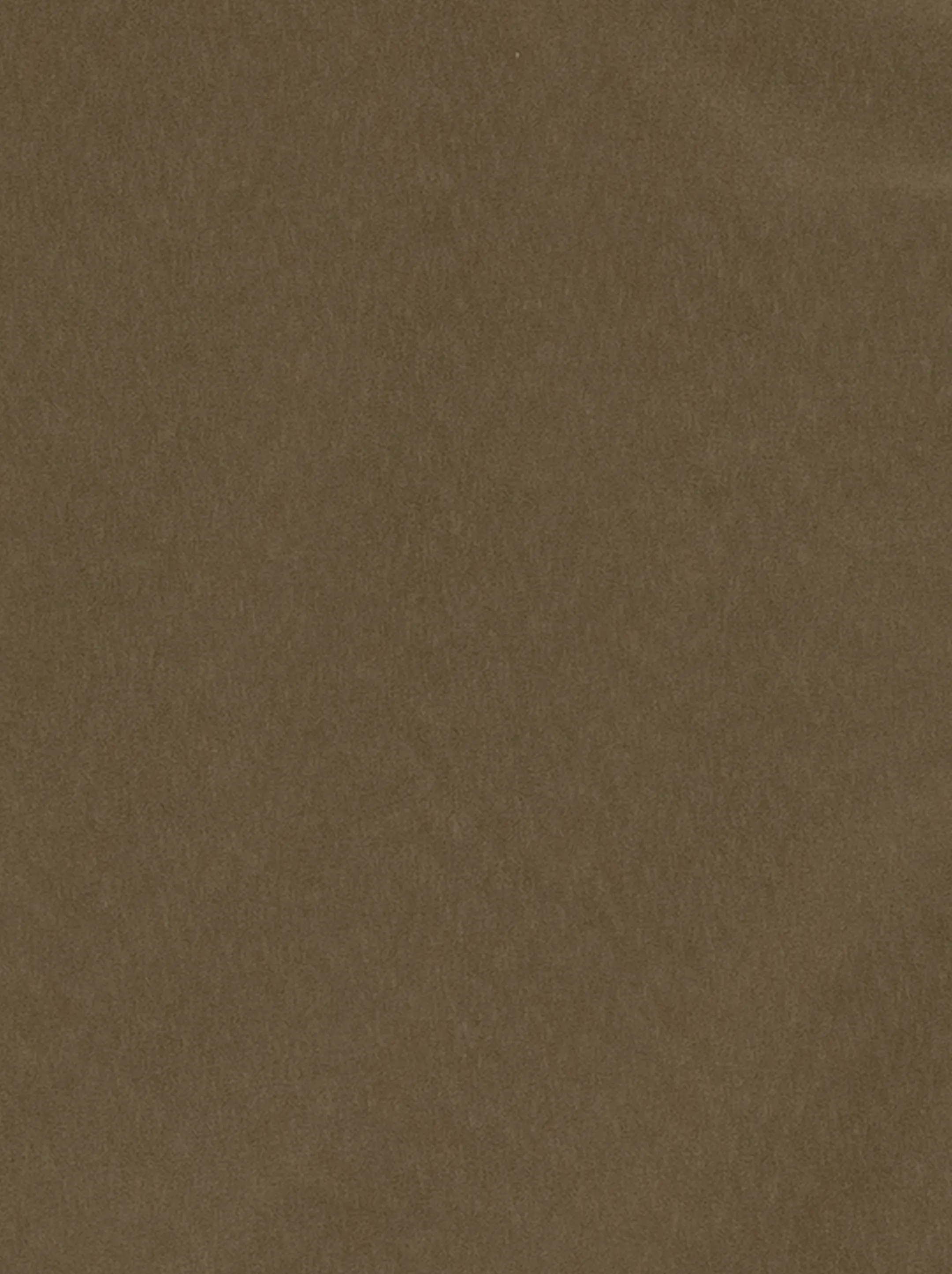 Image 590245