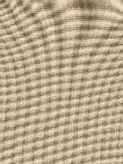 Image 196400
