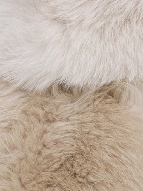 Image 41027