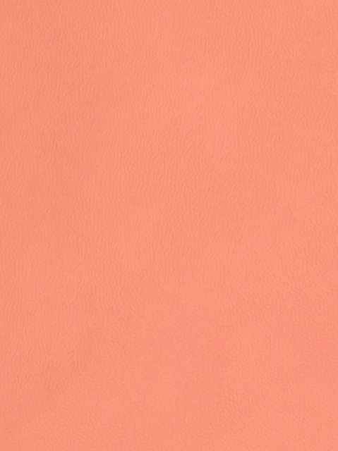 Image 188093