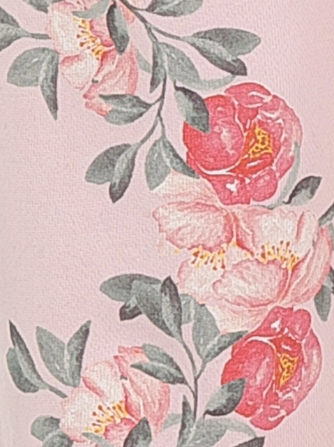 Image 193314