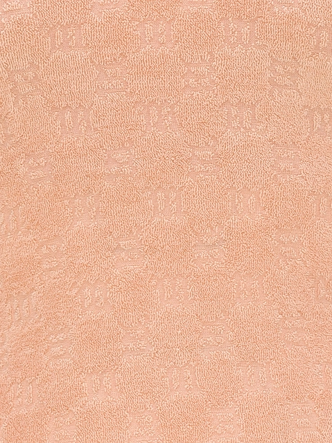 Image 50879