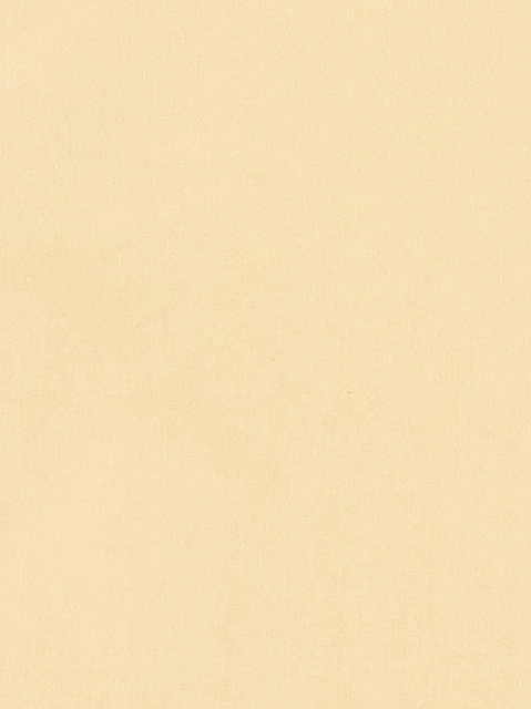 Image 399748