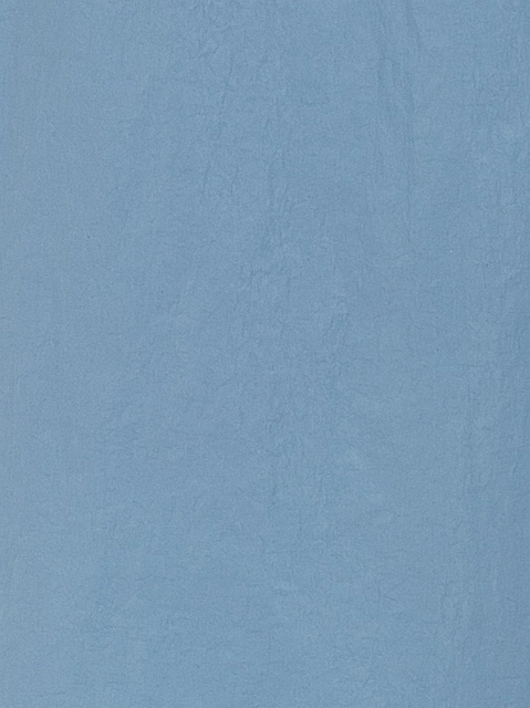 Image 197071