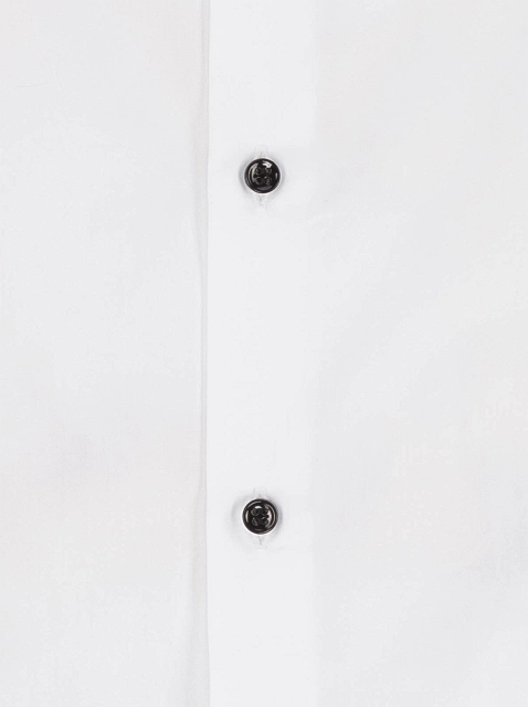 Image 199803