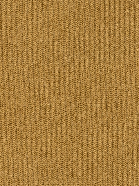 Image 400888