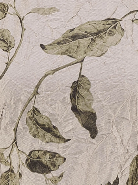 Image 199793