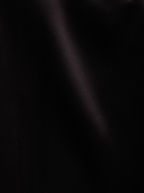 Image 207821