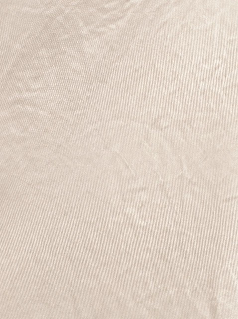 Image 118906