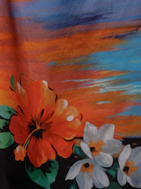 Image 78050
