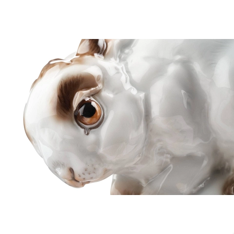 Image 402702