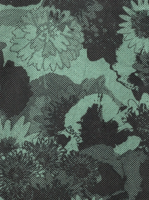 Image 338841