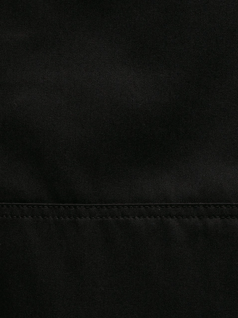 Image 213521