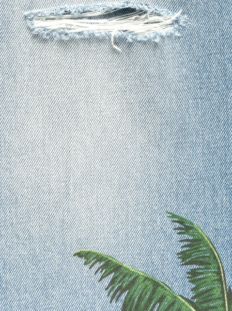 Image 340364