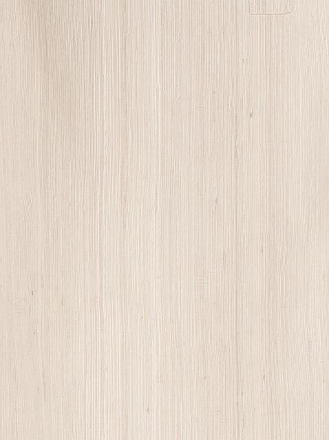 Image 215202