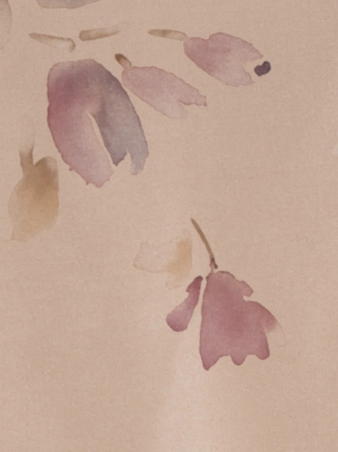 Image 214155