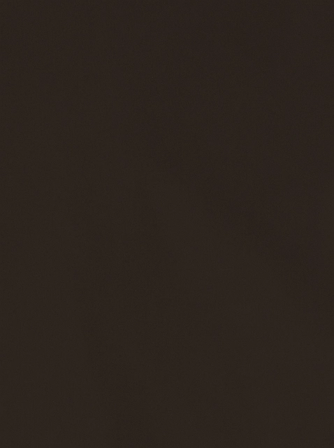 Image 217659