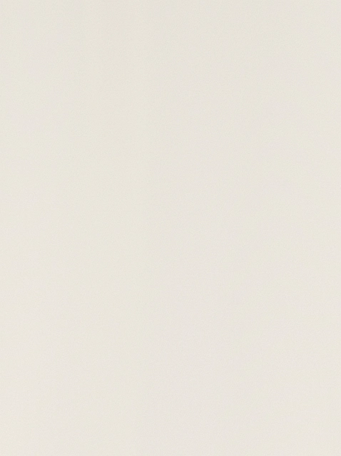 Image 217411