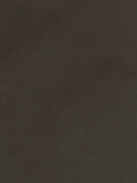 Image 217642