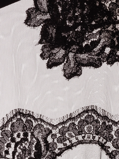 Image 217863