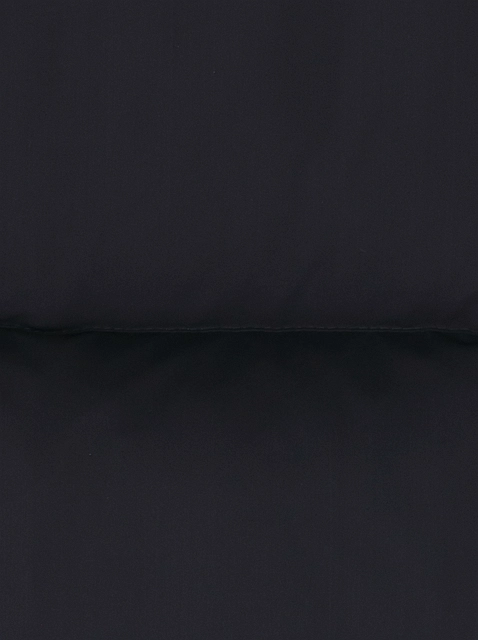 Image 219660
