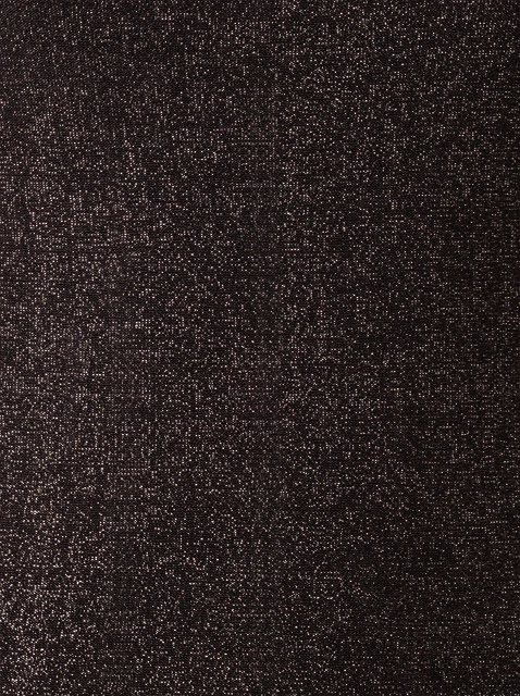 Image 100031