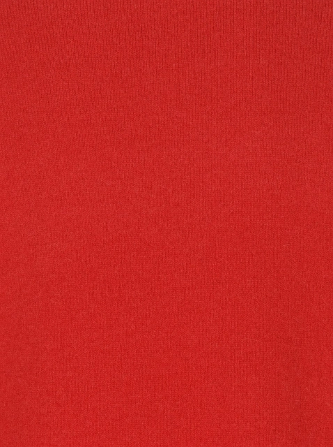 Image 220242