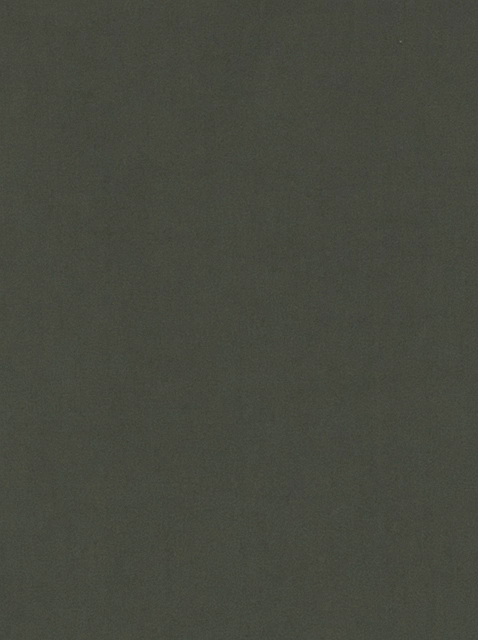 Image 220678