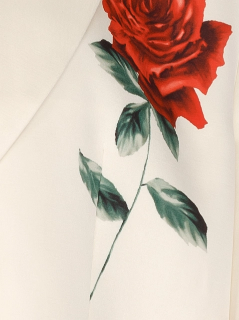 Image 220674