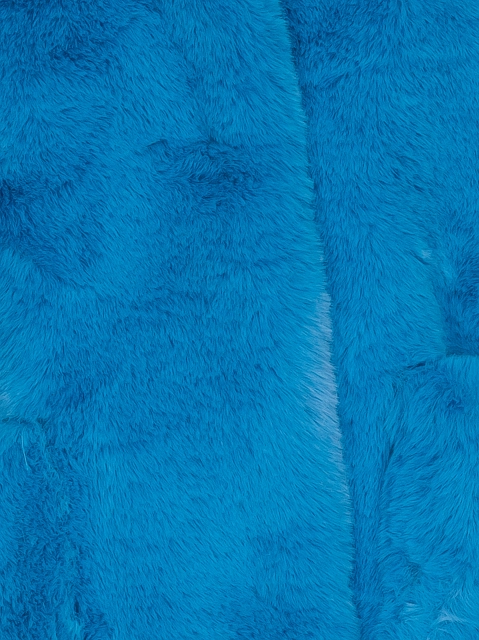 Image 226168