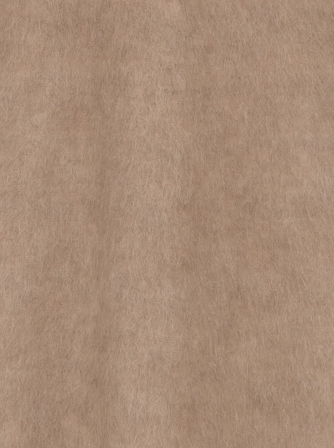 Image 226663