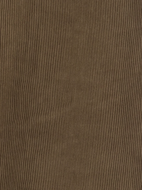 Image 407508