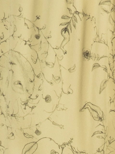 Image 229085