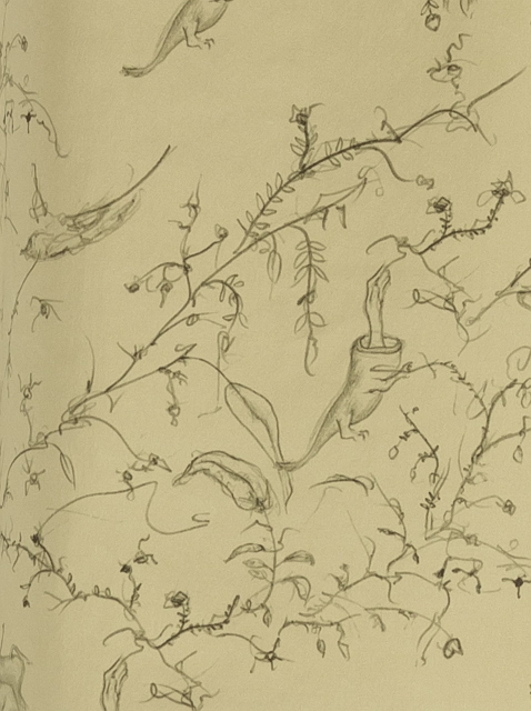 Image 120024