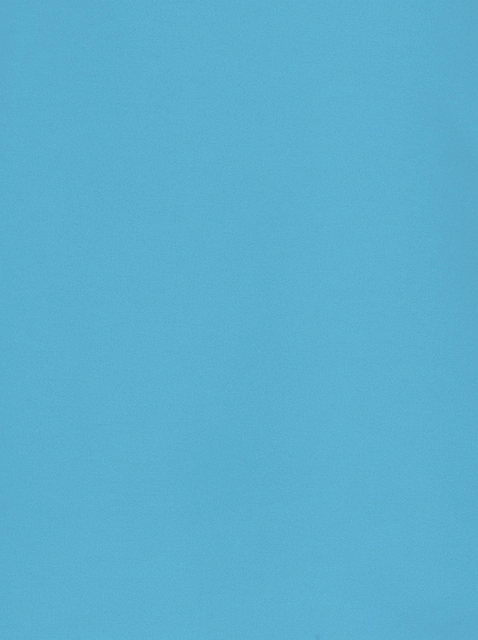 Image 408227