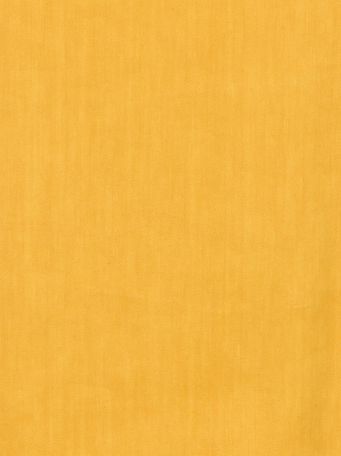 Image 233160
