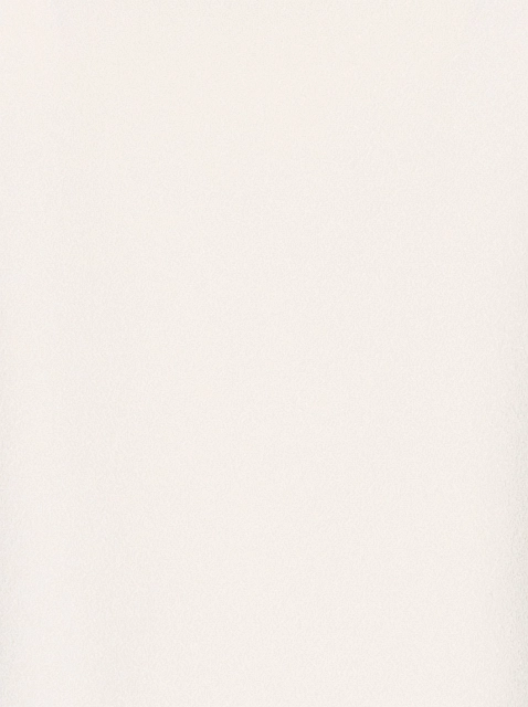 Image 233335