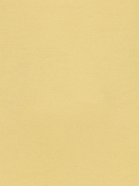 Image 350777