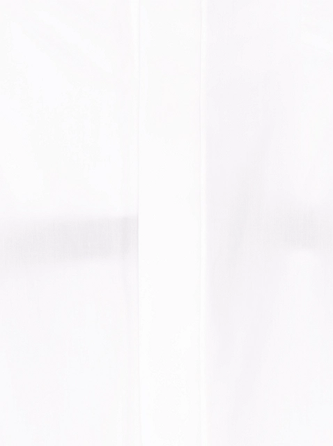 Image 235064