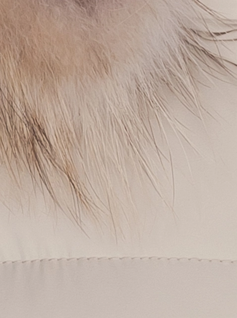Image 139450