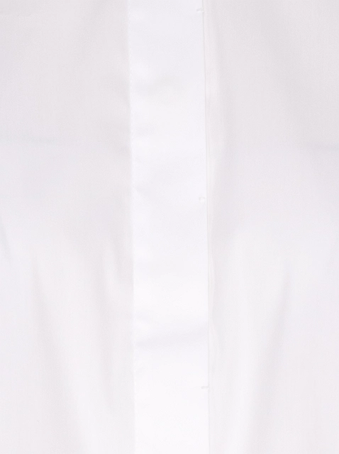 Image 141501
