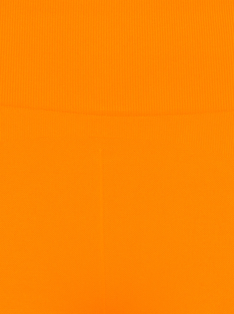 Image 356115