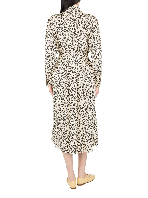 Image 250398