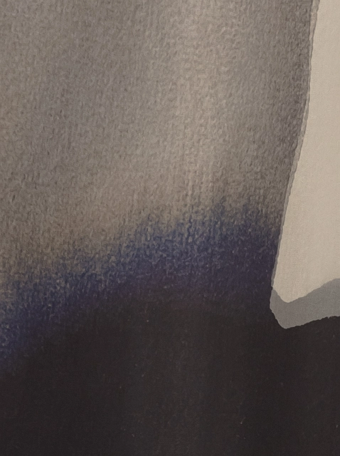 Image 157531