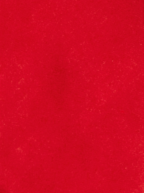 Image 365250