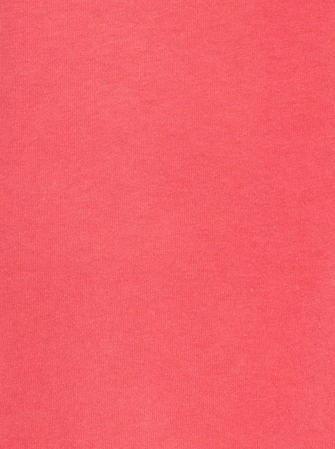 Image 365572