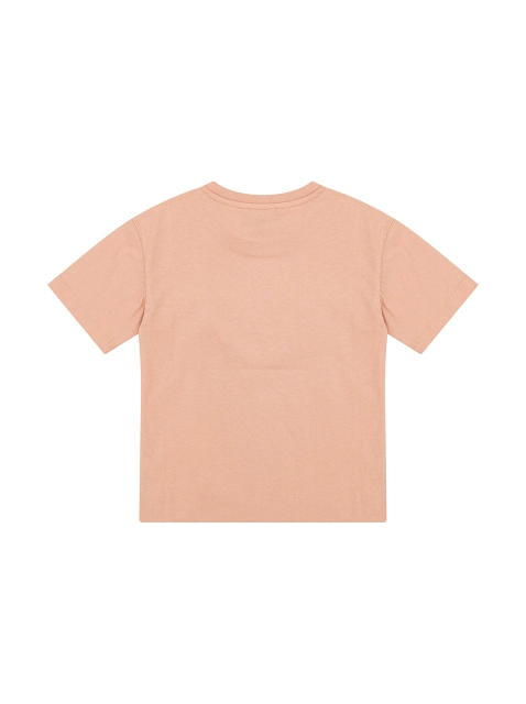 Image 279157