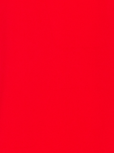 Image 446287