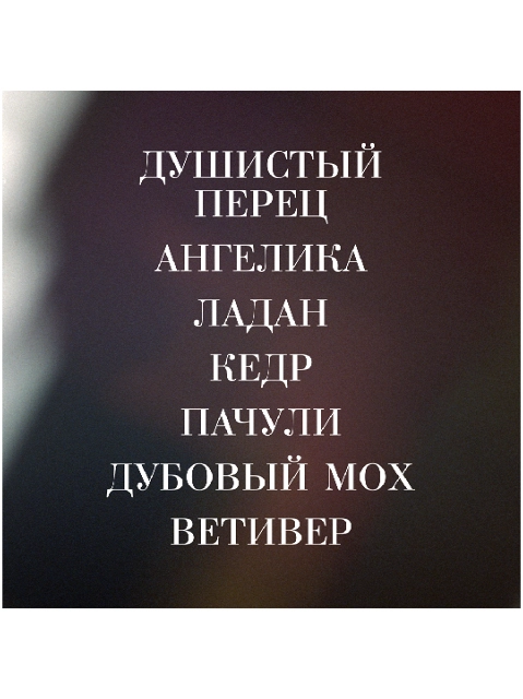 Image 303069